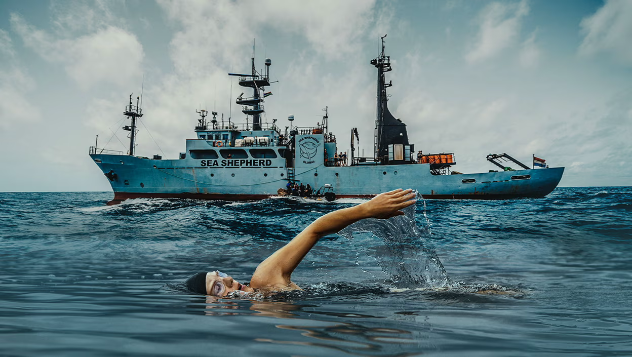 50km for the ocean 
